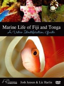 Marine Life of Fiji and Tonga: A Video Identification Guide