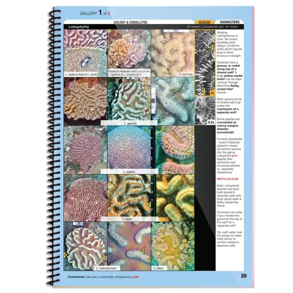 The completely revised & up-to-date 5th edition of the book that took the mystery out of coral ID is now available. The Indo Pacific Coral Finder delivers easy genus level coral ID anywhere between the Red Sea and Easter Island.